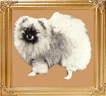 26212z_Shelton_Merlin_-_born_1905.jpg