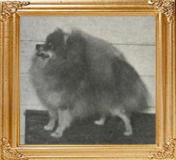 5718.jpg