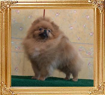Canton_Baron_Clifford.jpg
