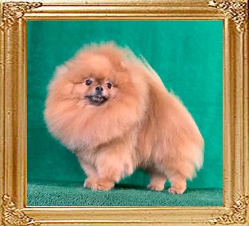 Canton_Baron_Clifford_3_yrs_10_mos_0428.jpg
