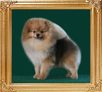 Canton_Supermodel_1yr_a.jpg