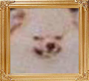 Derronills_Maximum_47711.jpg