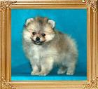 Canton_Arianne_46080.jpg