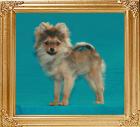 Canton_Evita_Peron_6509_4mo_4.5lbs_47524.jpg