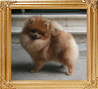 Canton_Pretty_Woman_4.84lbs_4600.jpg