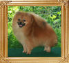 10 months old 18016y_Canton_Hot_Stuff_10_mos.jpg