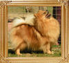 18952z_Damascusroad_Harness_the_Wind.jpg