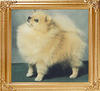 34106z_Dochlaggie_Deity_Aust_New_Zealand_Singapore_Ch.jpg