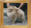 Canton_Bortei_1yr_5mo_4.84lbs_2533.jpg