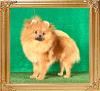 Canton_Dragon_Sweet_1_yr_0573.jpg