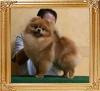 Canton_Fearless_Stella_1yr_4mos_2weks_final_8122.jpg