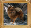 Canton_Im_Famous_2.2lbs_1yr_1mo_8649.jpg