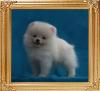 Canton_Lily_of_the_Valley_1.4lbs_2mo_2wk.jpg