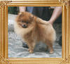 Canton_Marte_Mei_Van_Haaster_1yr_4.18lbs_2616.jpg