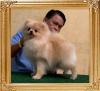 Canton_Maybell_Li_IMG-4739.jpg