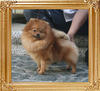 Canton_Sunrise_Charm_1yr_2mon_4.73lbs_5191.jpg