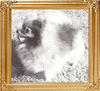 Creiders_Diane_of_Queenaire_10067.jpg