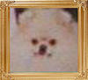 Derronills_Millenium_47720.jpg