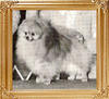 Fames_Legacy_of_Jewel-Ken_16294.jpg