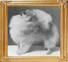 Paddockwood_Golden_Trinket_Ch__2095.jpg