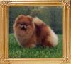 Razzle_Dazzle_Wedding_March__Ch_42758.jpg