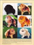 page_03.jpg