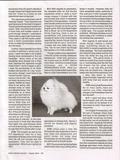 page_07.jpg