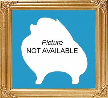 000_Blank_Picture.jpg