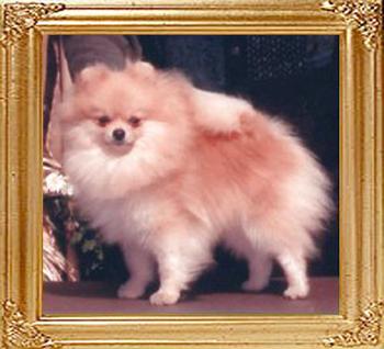 16562x Janesa's Don't Kiss And Tell.jpg