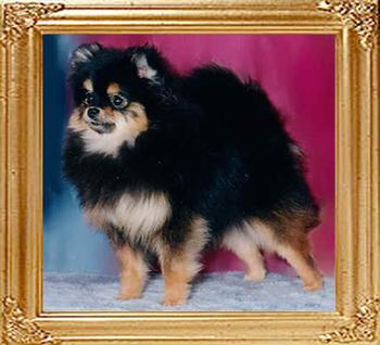 18670z_Bavanews_Tar_Baby_at_Weepawz.jpg