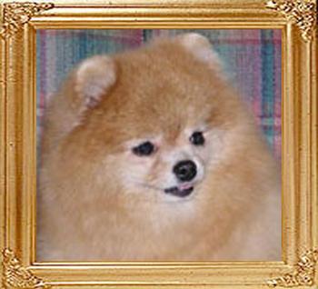 18746z_Honeycomb_Of_Lenette.jpg