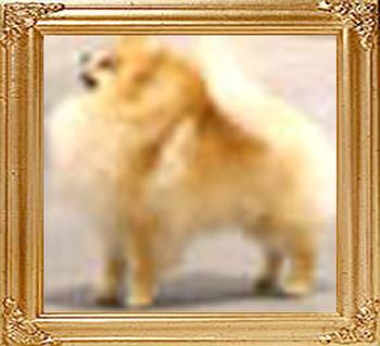 18820z_PowerPom_Cold_Mountain.jpg