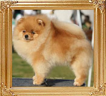 18838z_Rueben_Of_Lenette.jpg