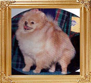 18870z_Sweet_Charlotte_Of_Lenette.jpg