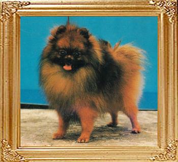 20258z_Lung_of_Pretty_Kennels.jpg