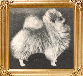 21339z_Aztec_Silver_Slipper_of_Aurum.jpg