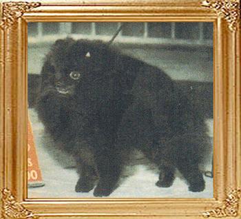 32894z_Black_Diamond_Of_Chaos_Ch.jpg