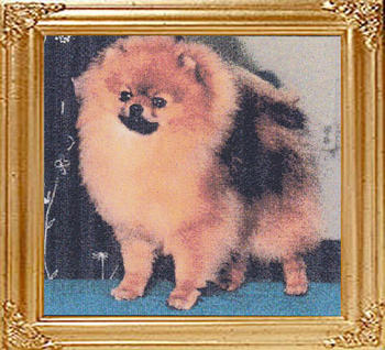 36910z_Marilyns_Show_Gem_O_Rubys_Ch.jpg