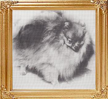 36996z_Maykens_Lil_China_Mite_Ch.jpg