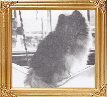 37692z_Nolas_Little_Benjamin_Bunny_Ch.jpg
