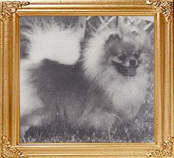 38552z_Queenaire_Calling_Card_Ch.jpg