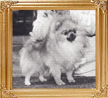 38557z_Queenaire_Coup_De_Grace_Ch.jpg