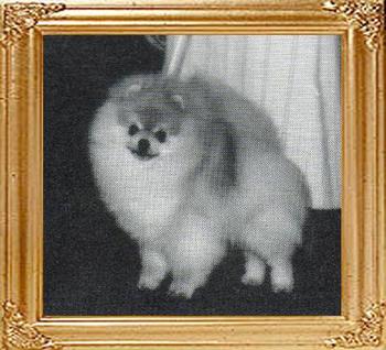 428.jpg