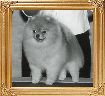 903z_Jan-Shars_Dudley_Doright_HOF_GC.jpg