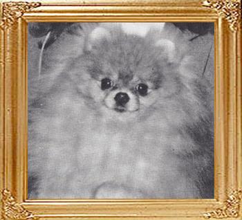 9234z_Emcees_Chip_Off_The_Ole_Block_Ch.jpg