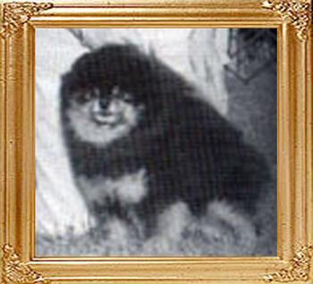 Angelics_Bit_O_Prid_Taner_Jo_Ch_18633.jpg