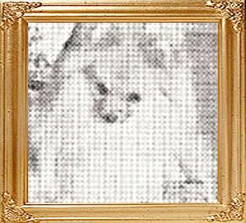 Aristic_Happy_Boy_Ch_47684.jpg