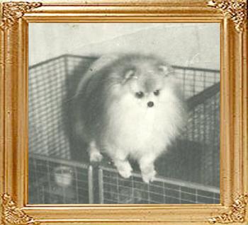 Aristic_Little_Model_Man_47687.jpg