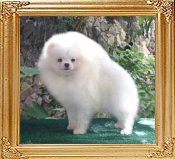 Boto_6_mo_new_pic.jpg