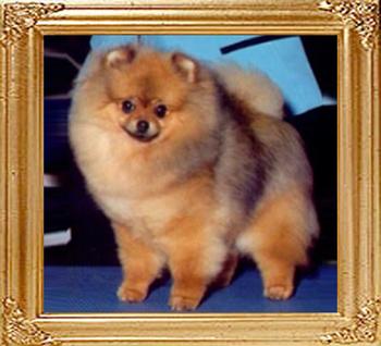 CR_Classic_Creation_Ch.jpg